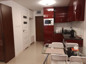 CHERRY APARTAMENT W ŚCISŁYM CENTRUM